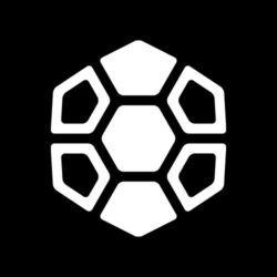 Diamondback Solutions geometric shell icon in white on a black background